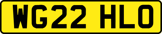 WG22HLO
