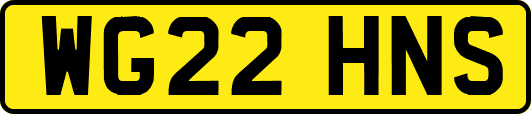 WG22HNS