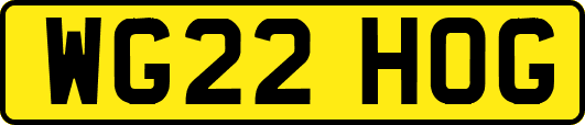 WG22HOG