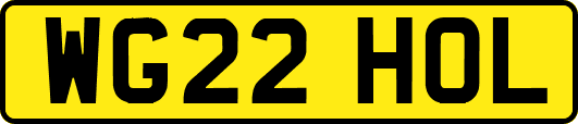 WG22HOL