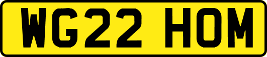 WG22HOM