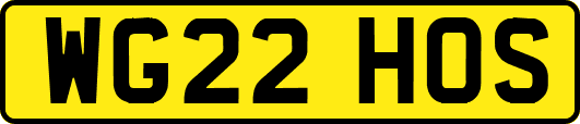 WG22HOS