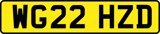 WG22HZD
