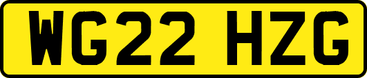 WG22HZG