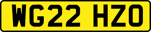 WG22HZO