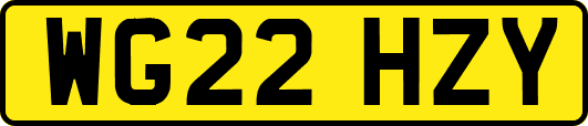 WG22HZY