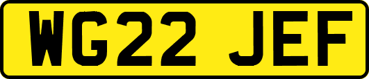 WG22JEF