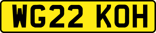 WG22KOH