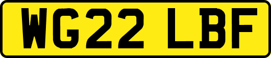 WG22LBF