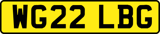 WG22LBG