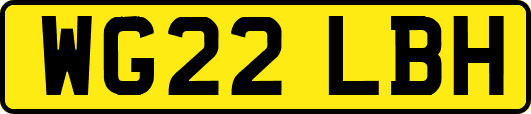 WG22LBH