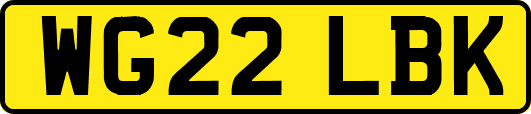 WG22LBK