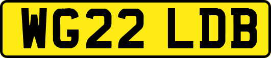 WG22LDB