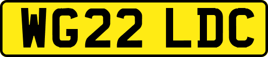 WG22LDC