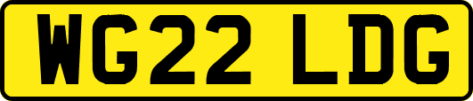 WG22LDG