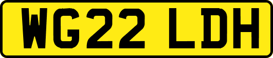 WG22LDH
