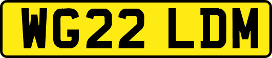 WG22LDM