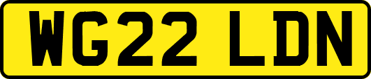 WG22LDN
