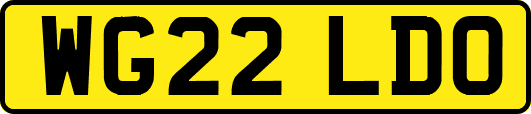 WG22LDO