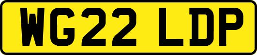 WG22LDP