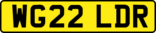 WG22LDR