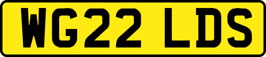 WG22LDS