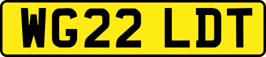 WG22LDT