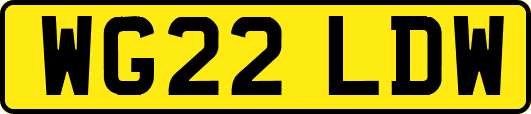 WG22LDW