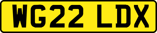 WG22LDX