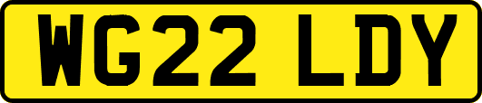 WG22LDY