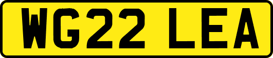 WG22LEA