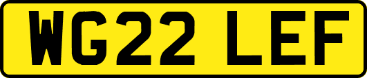 WG22LEF