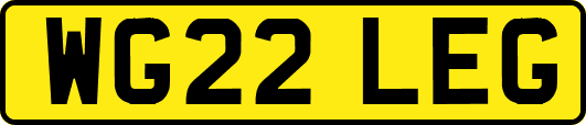 WG22LEG