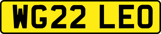 WG22LEO