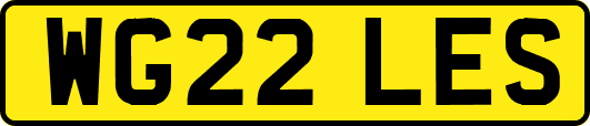WG22LES