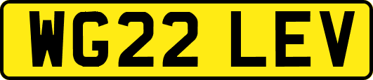 WG22LEV