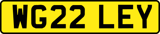 WG22LEY