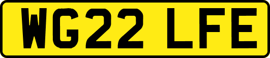 WG22LFE
