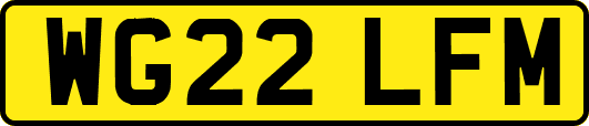 WG22LFM