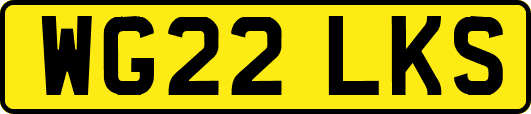 WG22LKS