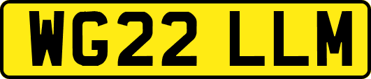 WG22LLM