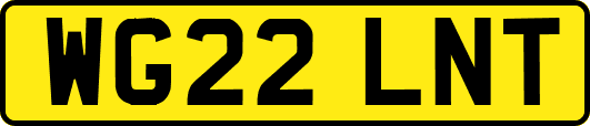 WG22LNT