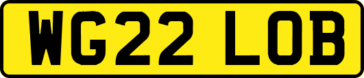 WG22LOB