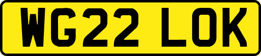 WG22LOK