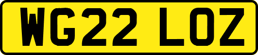 WG22LOZ