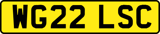 WG22LSC