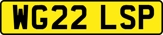 WG22LSP