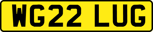 WG22LUG