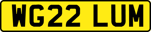 WG22LUM