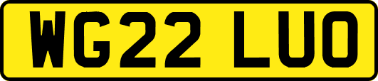WG22LUO